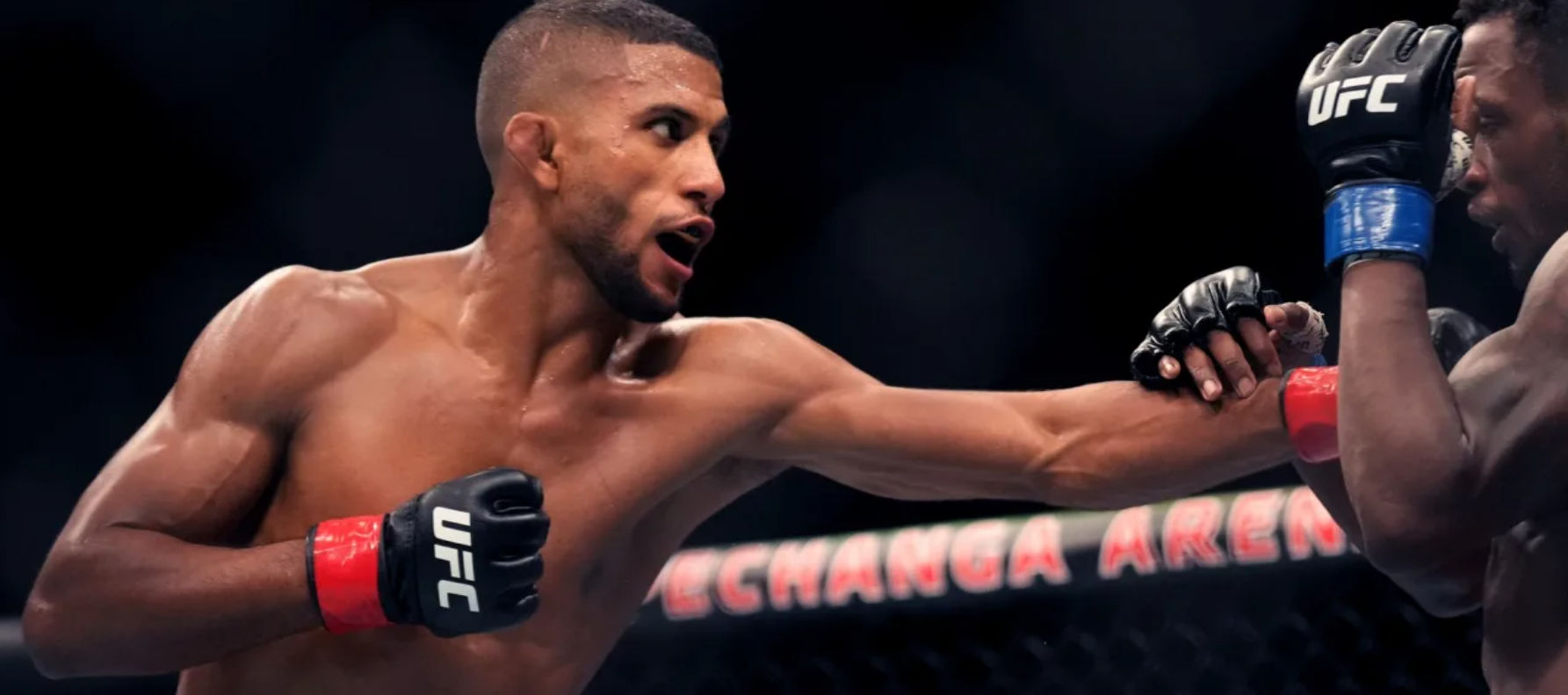 MMA Predictions Strategies, Analysis, and What It Takes to Forecast Fight Outcomes 1
